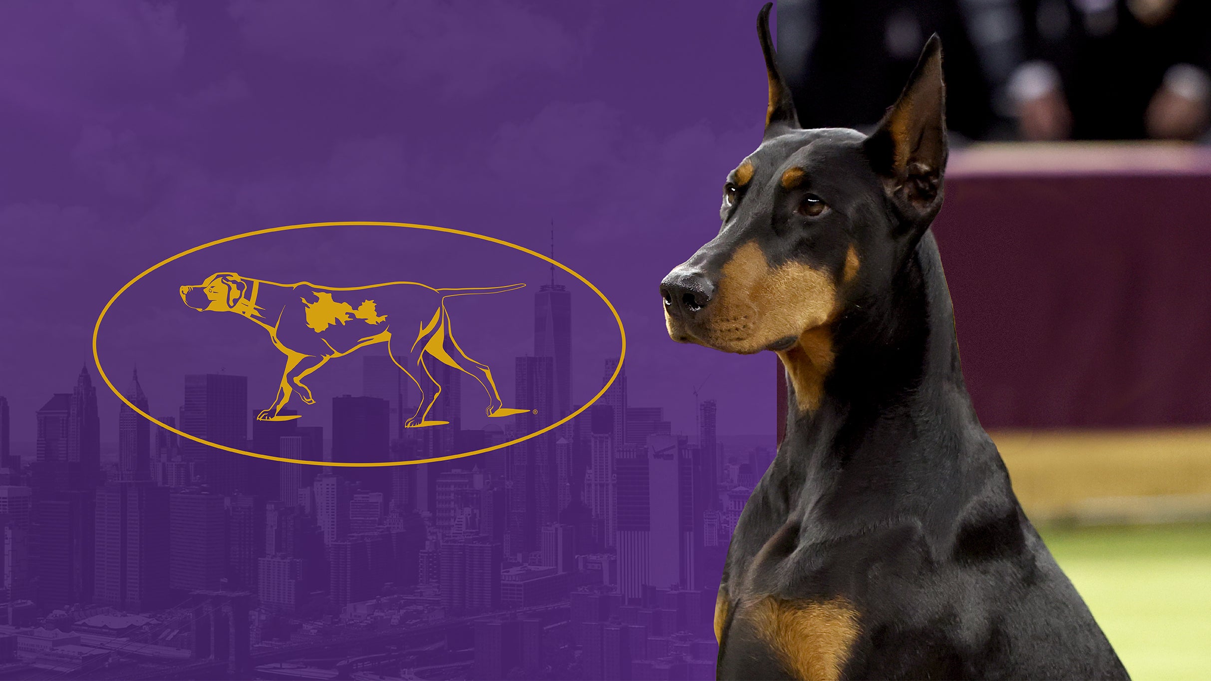 Westminster Kennel Club Dog Show 2027